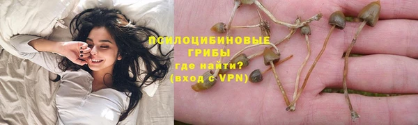 твердый Медвежьегорск