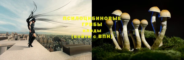 бошки Магадан