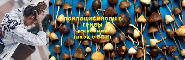 бошки Магадан