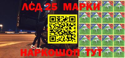 крисы Можга