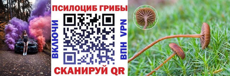 Галлюциногенные грибы Cubensis  где купить наркоту  Янаул 